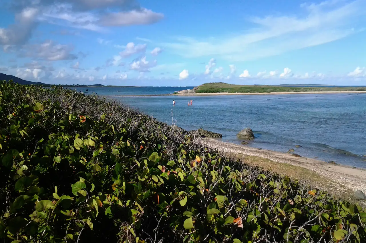 The shallow flat water of Baie de l'Embouchure running out toward the sandbar and reef line beyond