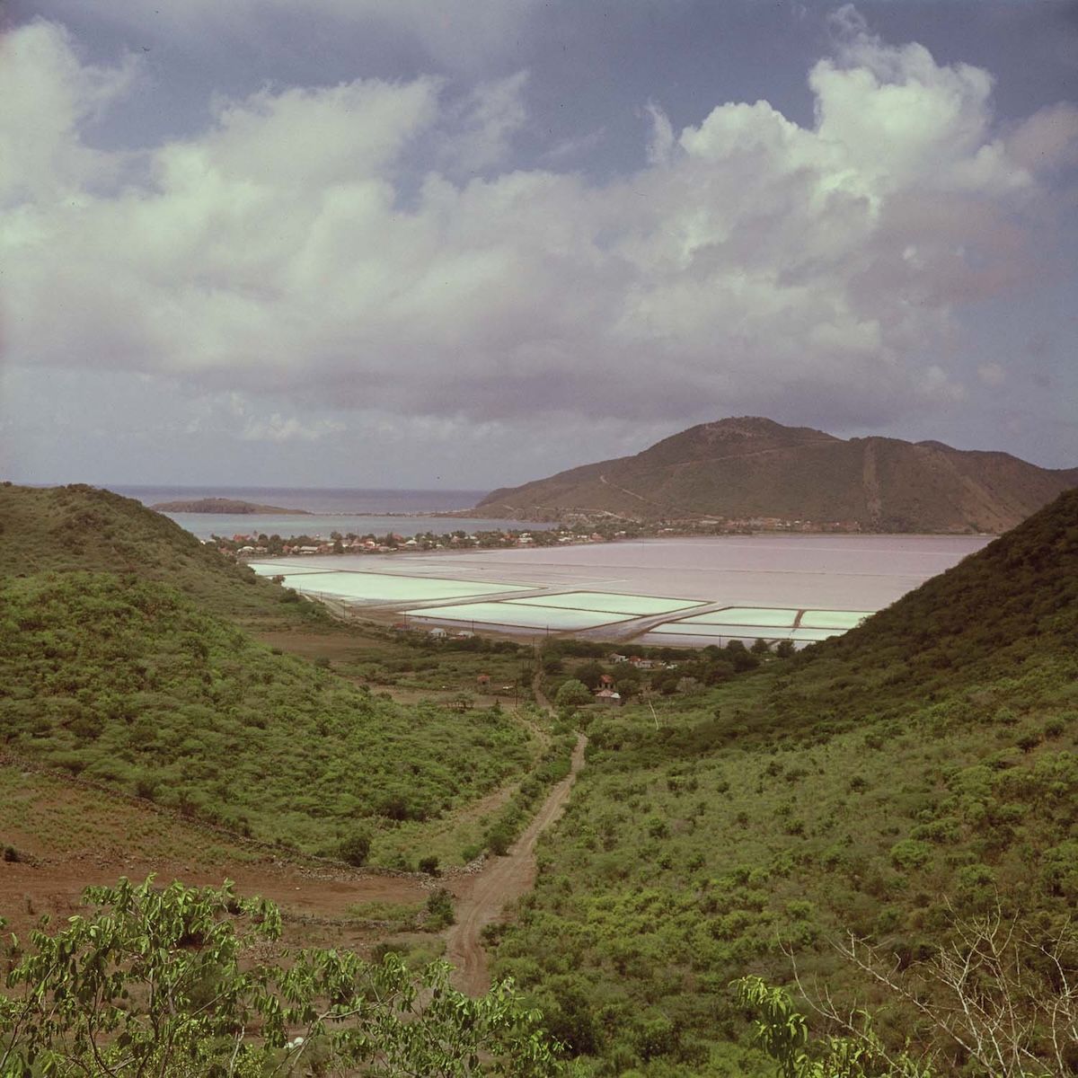 A colour view over green hills down to the pale pink and white rectangles of the Salt Pond, with Philipsburg and the sea beyond.