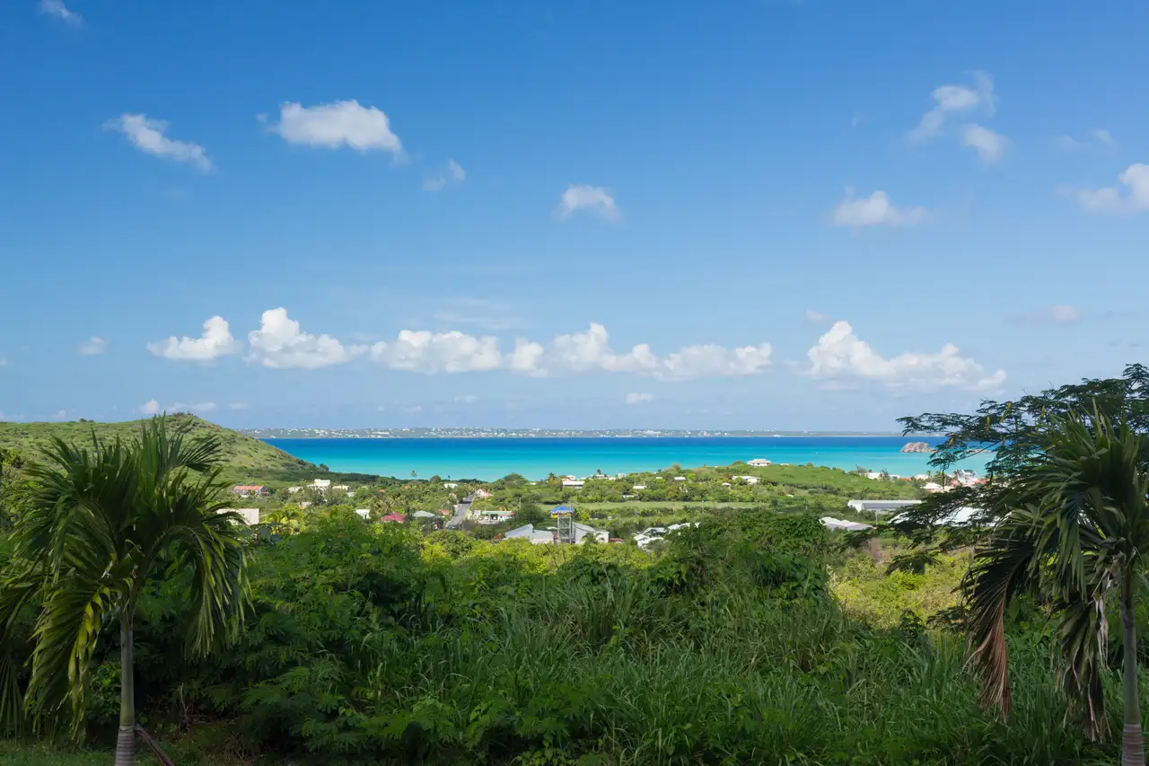 Elevated view of Grand Case village and its curving bay, framed by palm trees
