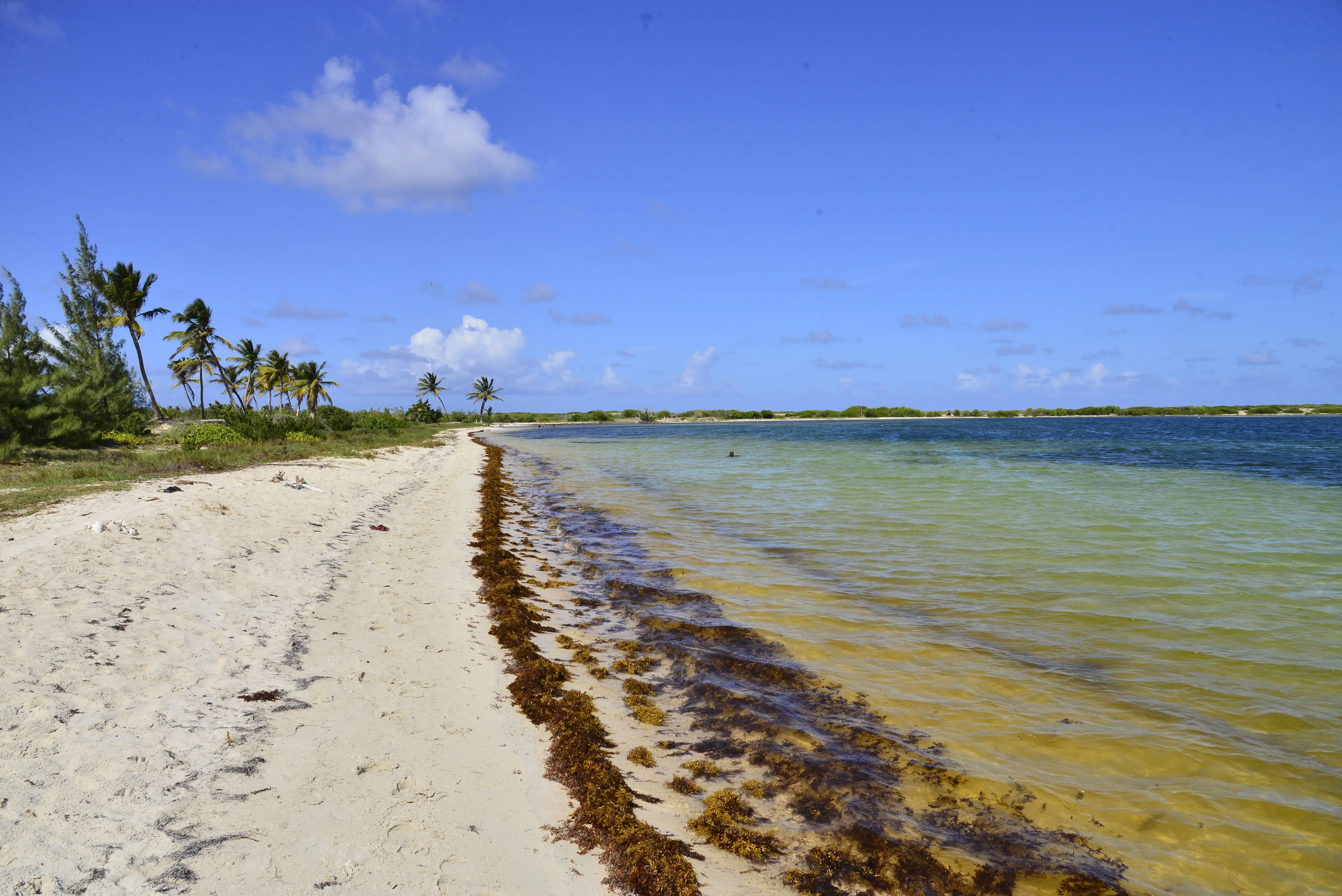 The shallow reef-sheltered water and pale sand of Le Galion, the lagoon running out flat and clear toward the reef line