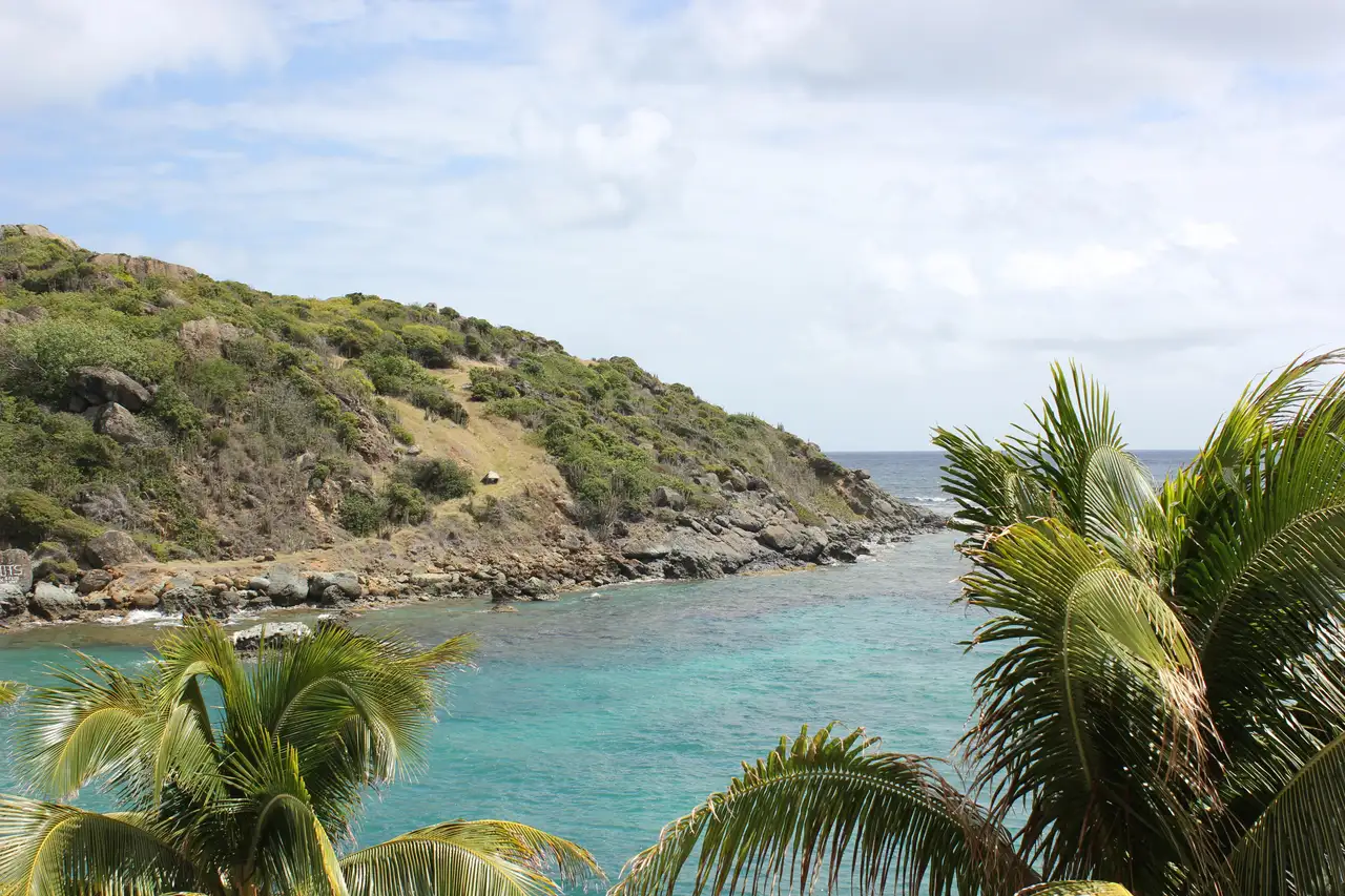 A quiet natural cove and nature preserve near Dawn Beach, viewed through overhanging palm fronds