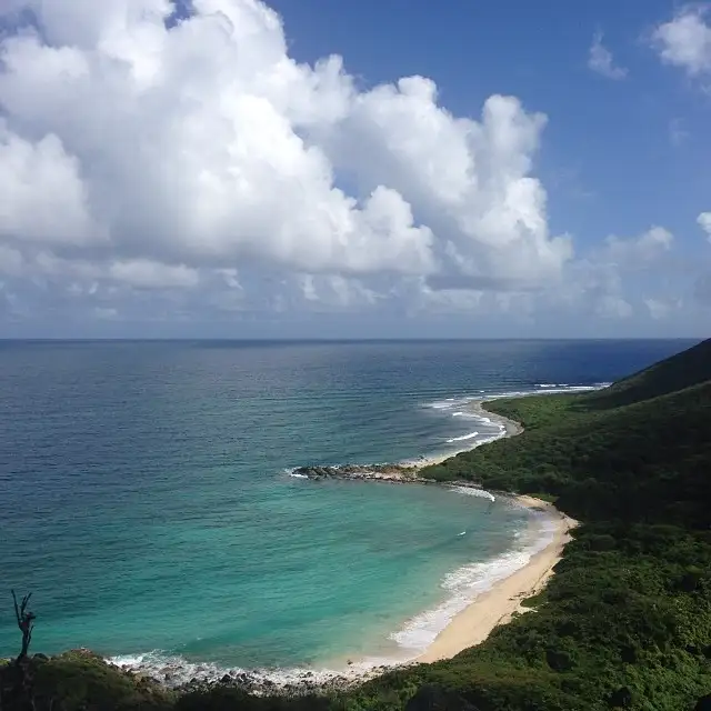 An undeveloped stretch of sand backed by dense green scrub on the wild north coast, with no buildings anywhere in the frame