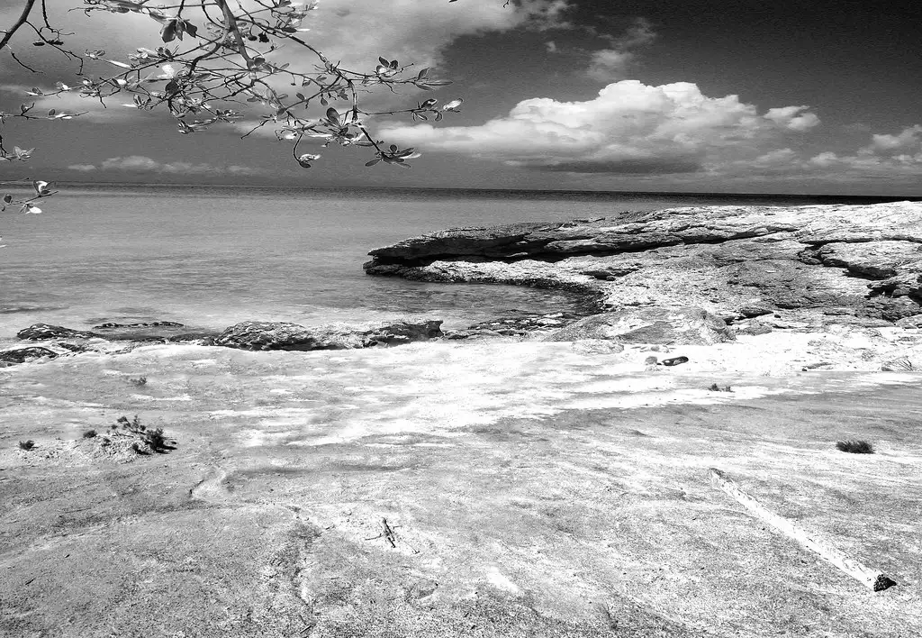 Black and white view of storm clouds massing over a rocky stretch of beach with driftwood in the foreground